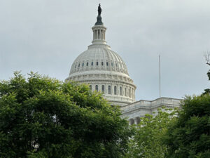 The White House in Washington DC daytime photograph